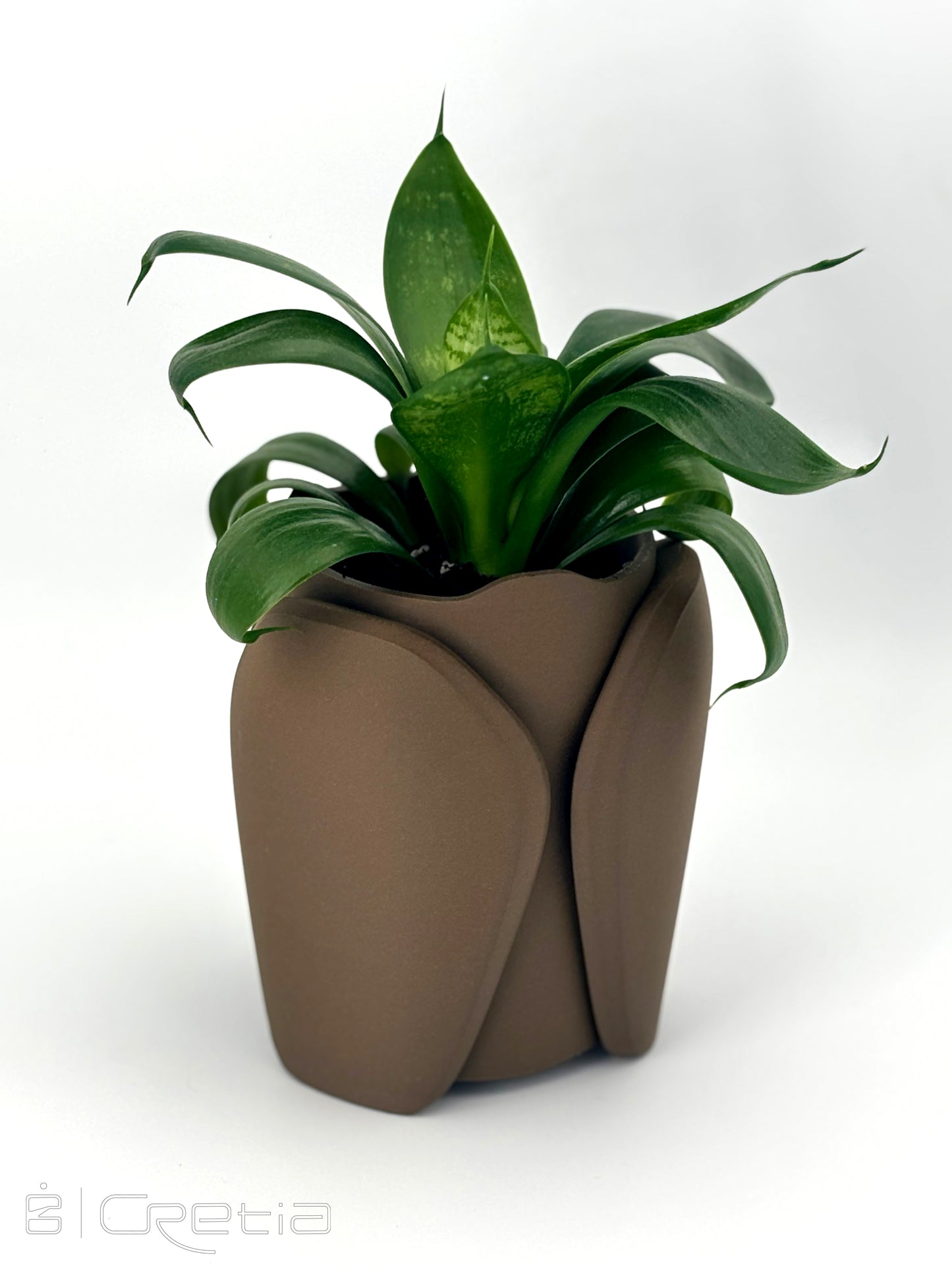 Petal Cup