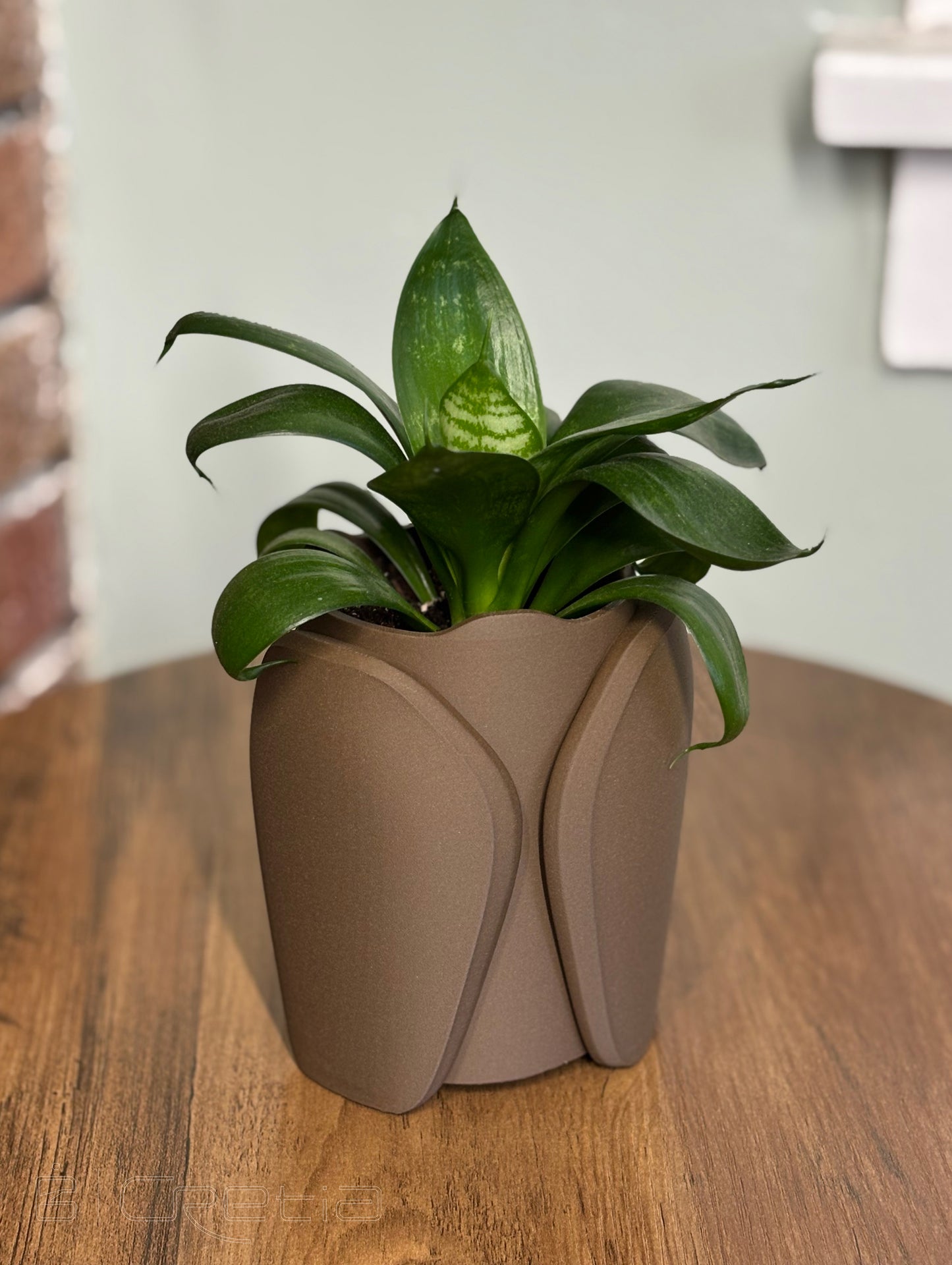 Petal Cup
